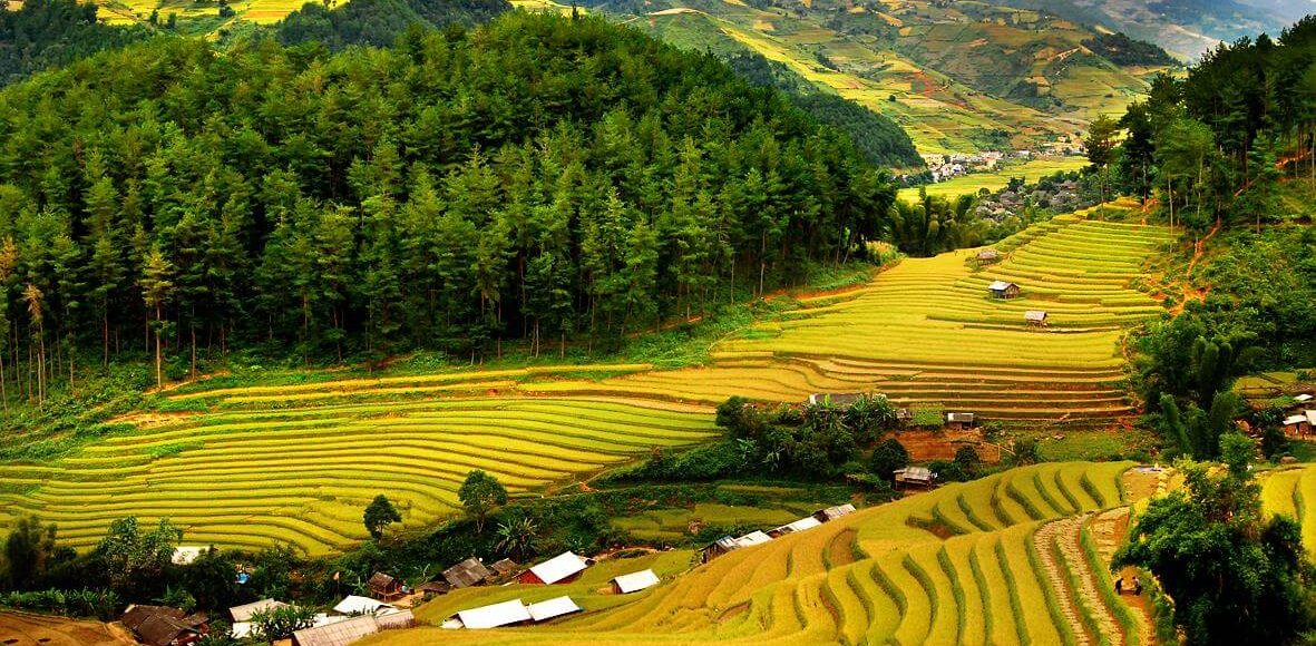 Pù Luông mùa lúa chín