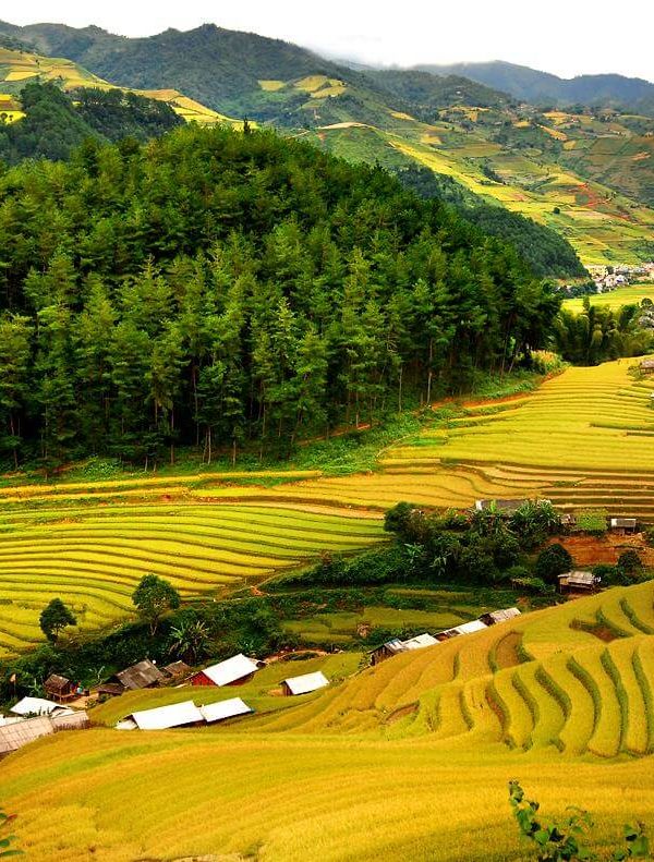 Pù Luông mùa lúa chín