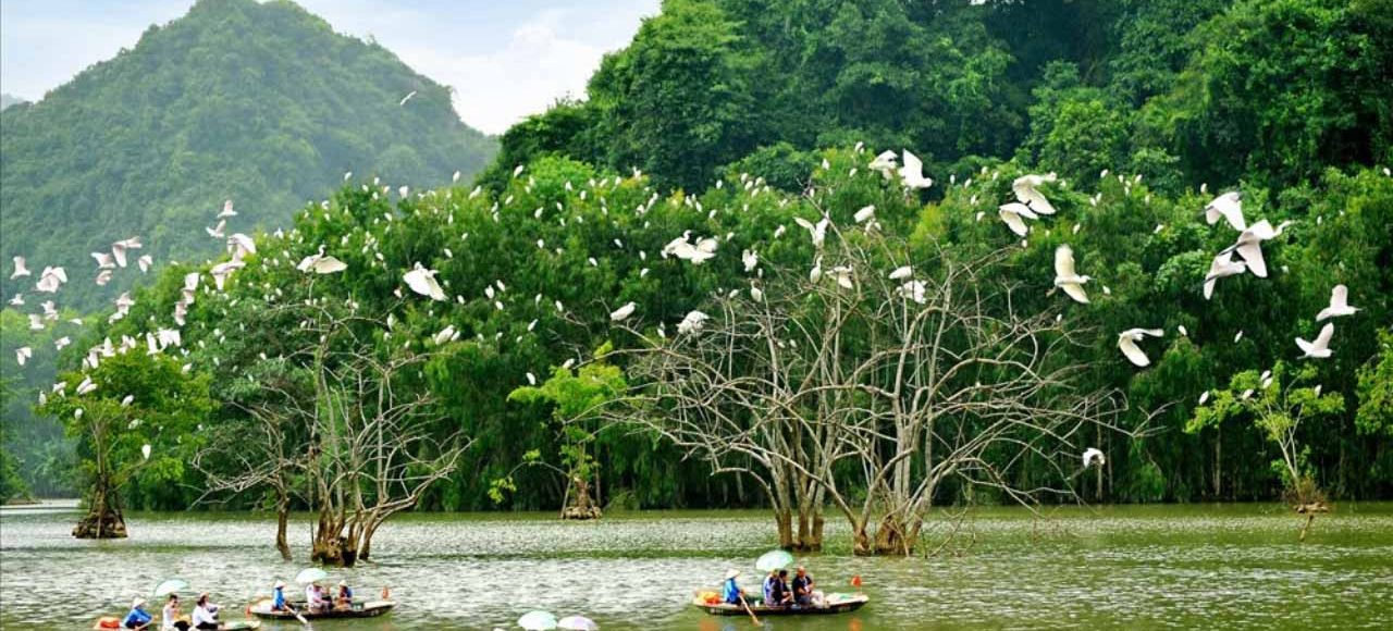 Vườn chim Thung Nham Ninh Bình