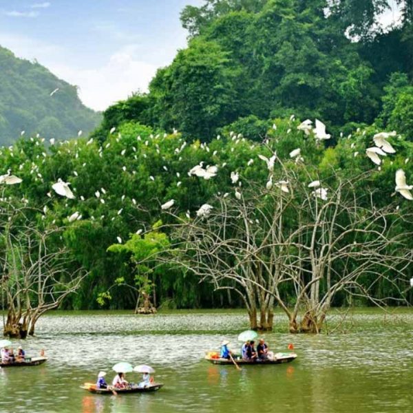 Vườn chim Thung Nham Ninh Bình