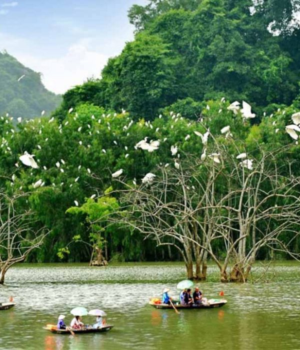 Vườn chim Thung Nham Ninh Bình
