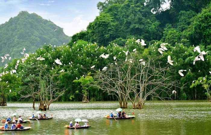 Vườn chim Thung Nham Ninh Bình